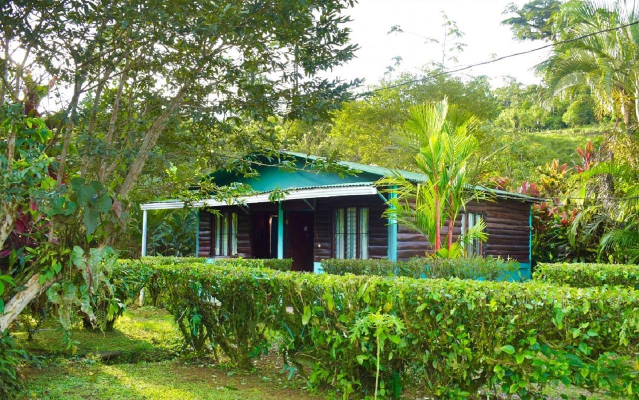 Posada Rio Celeste La Amistad Bed & Breakfast Exterior photo