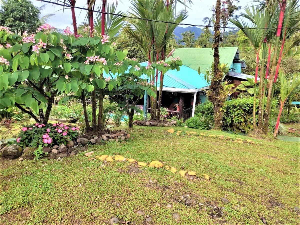 Posada Rio Celeste La Amistad Bed & Breakfast Exterior photo