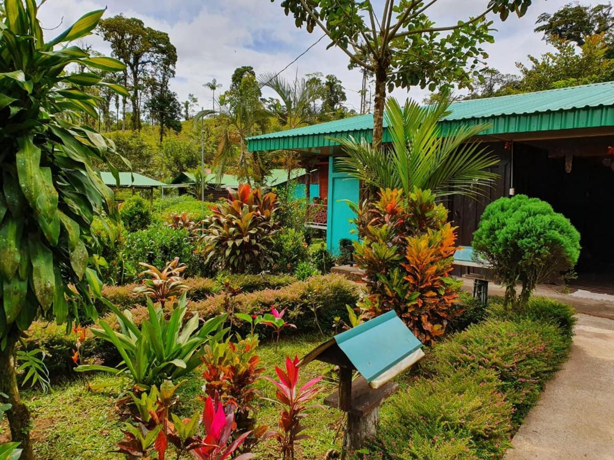 Posada Rio Celeste La Amistad Bed & Breakfast Exterior photo