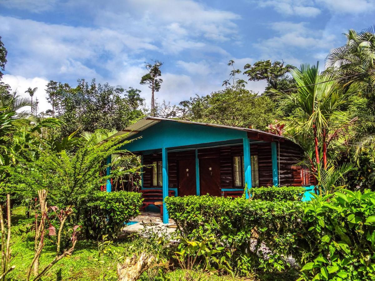 Posada Rio Celeste La Amistad Bed & Breakfast Exterior photo