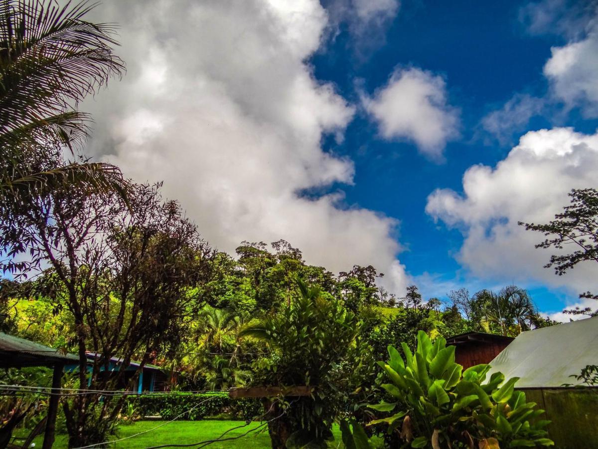 Posada Rio Celeste La Amistad Bed & Breakfast Exterior photo