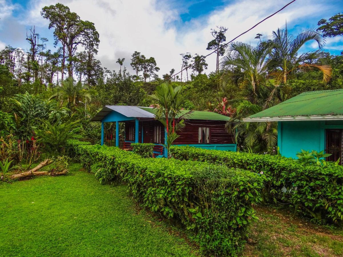 Posada Rio Celeste La Amistad Bed & Breakfast Exterior photo