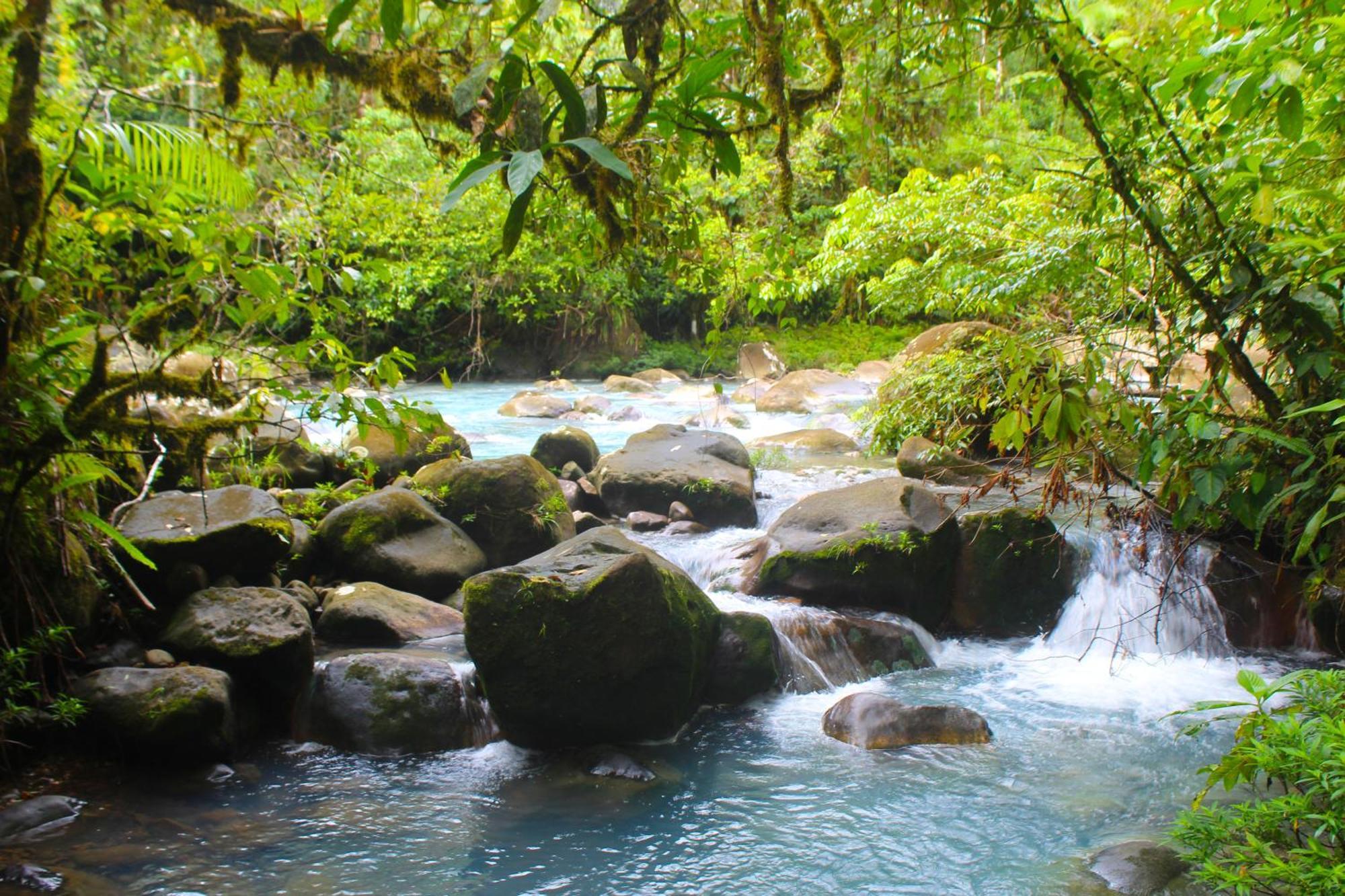 Posada Rio Celeste La Amistad Bed & Breakfast Exterior photo