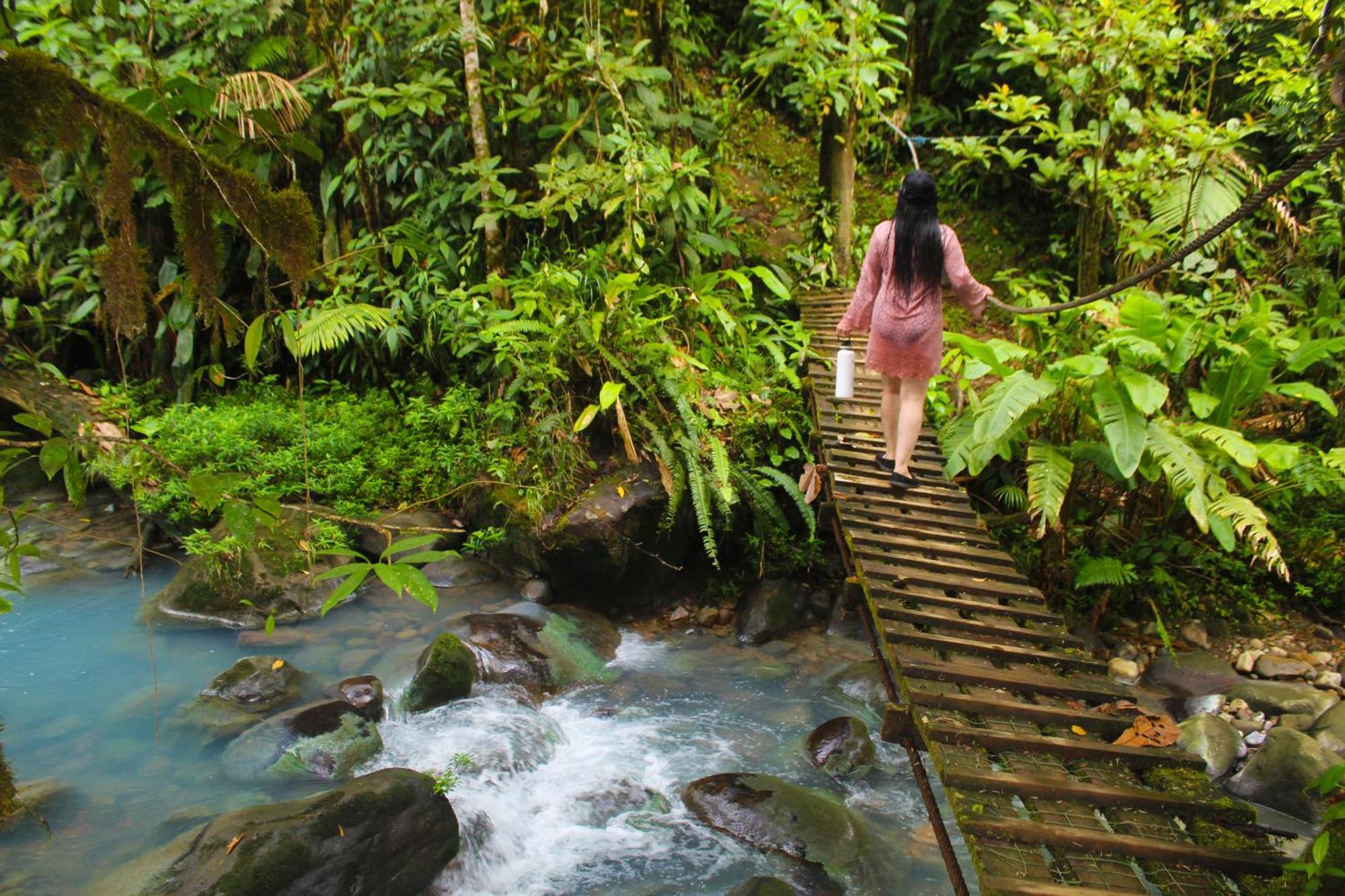 Posada Rio Celeste La Amistad Bed & Breakfast Exterior photo