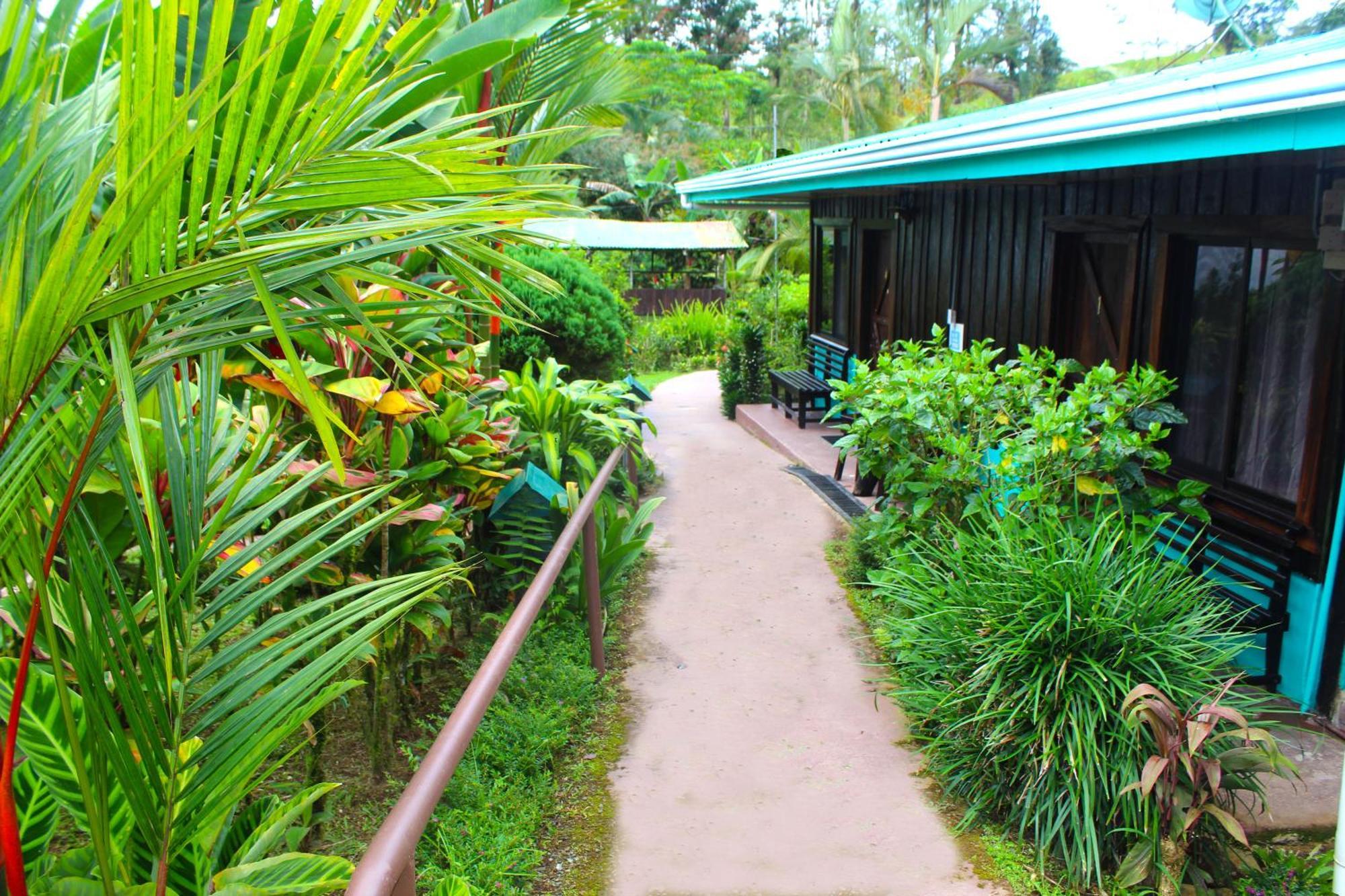 Posada Rio Celeste La Amistad Bed & Breakfast Exterior photo