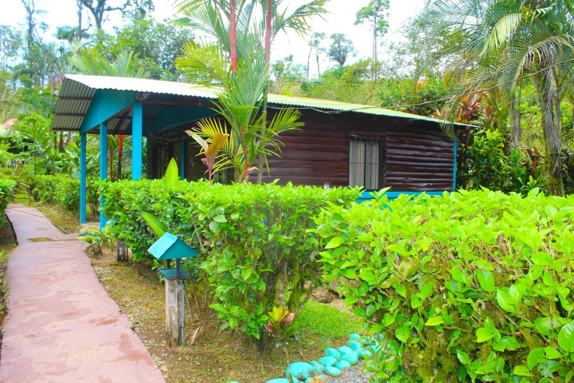 Posada Rio Celeste La Amistad Bed & Breakfast Exterior photo